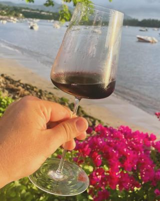 Enjoying a glass of Tillman Glass Universal, filled with Bordeaux wine by the coast. The perfect blend of seabreeze and...